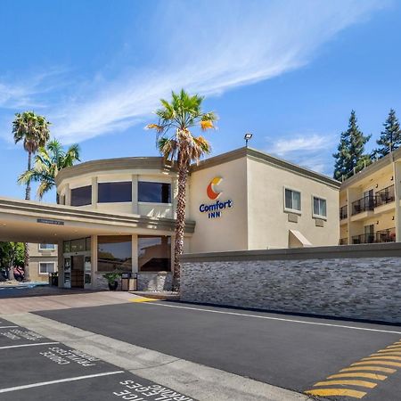 Comfort Inn Sunnyvale - Silicon Valley Dış mekan fotoğraf