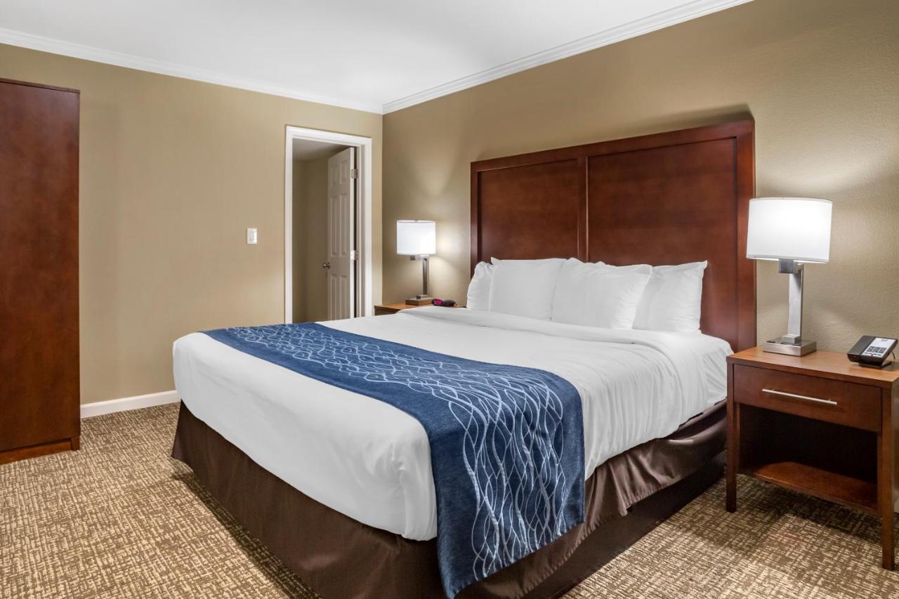 Comfort Inn Sunnyvale - Silicon Valley Dış mekan fotoğraf